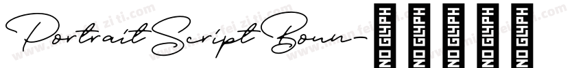 Portrait Script Boun字体转换